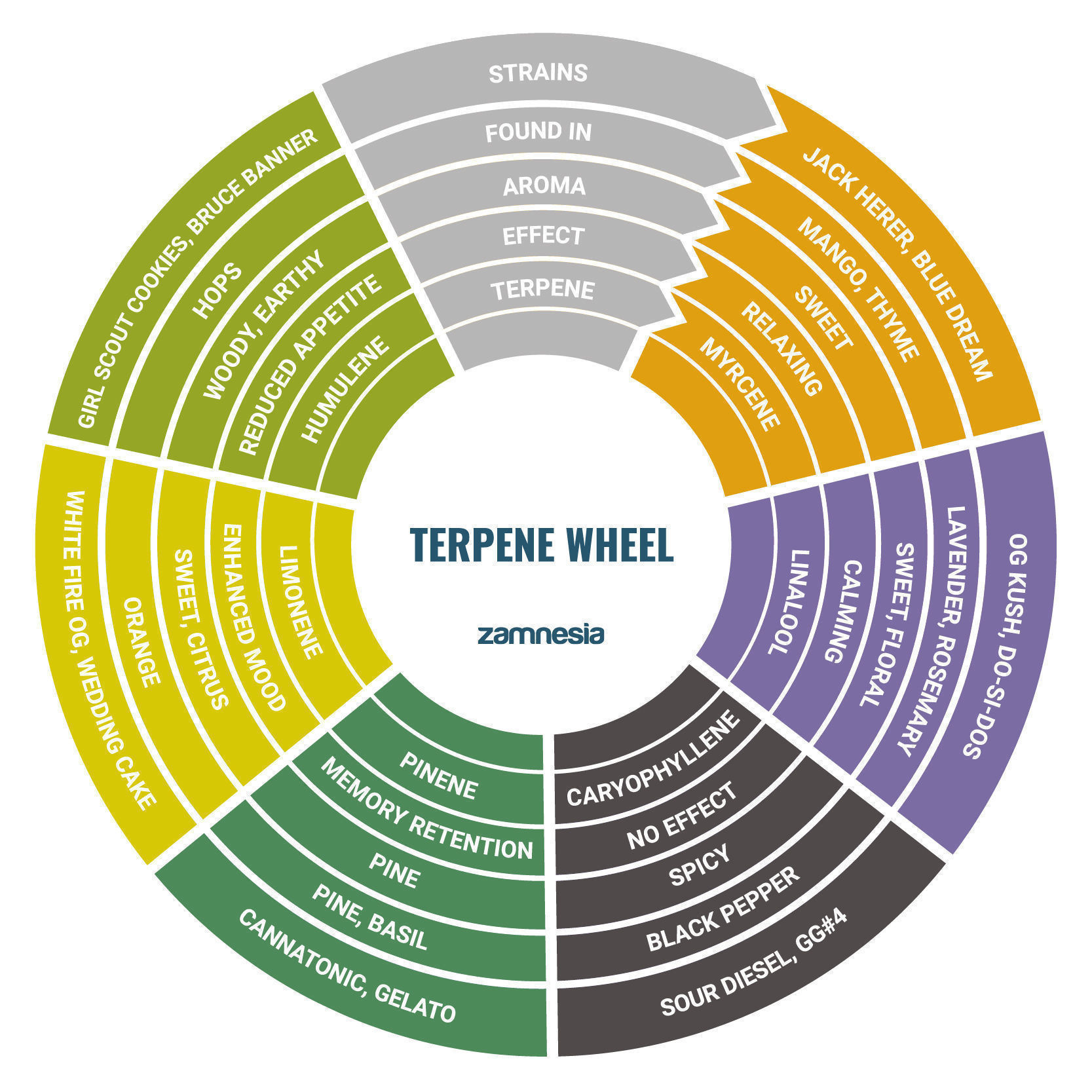 Terpeenipyörä Terpeenipyörä