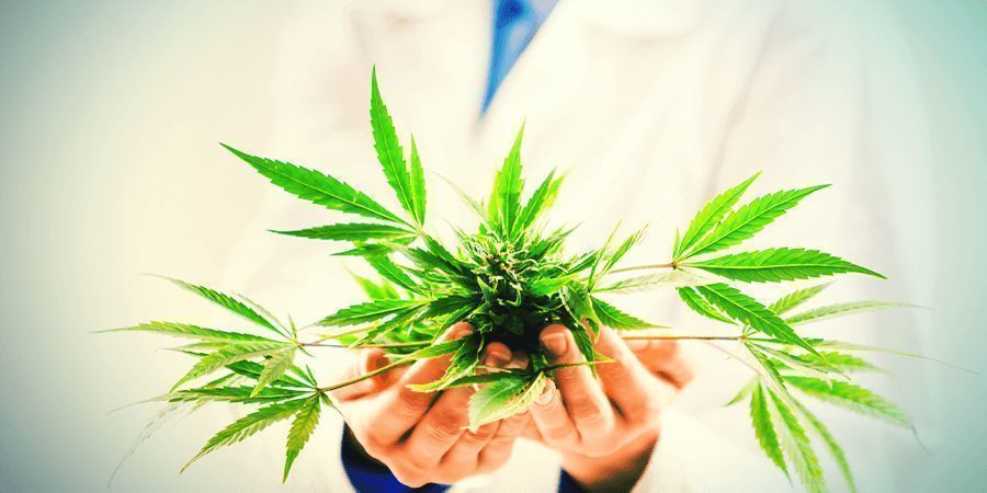 Mitä CBD tekee?