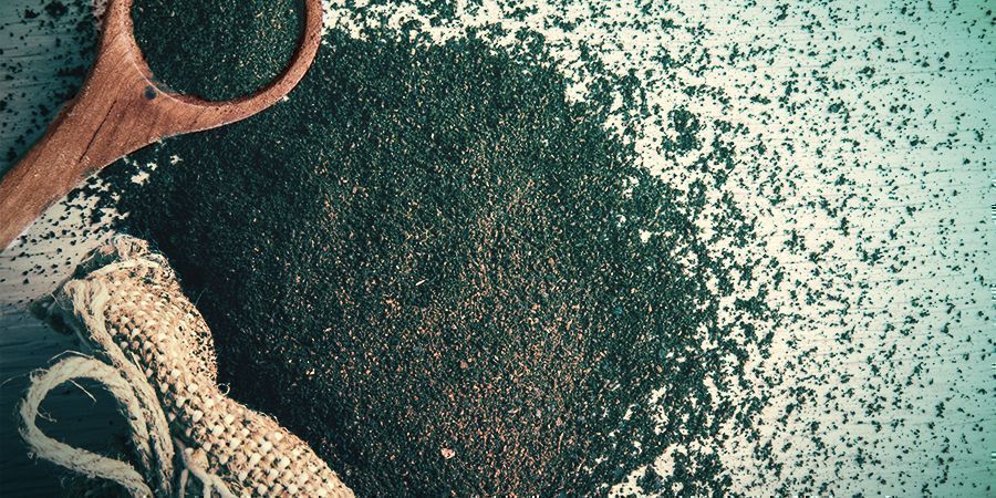 Kahvinporot Prevent Mushroom Flies - Coffee Grounds