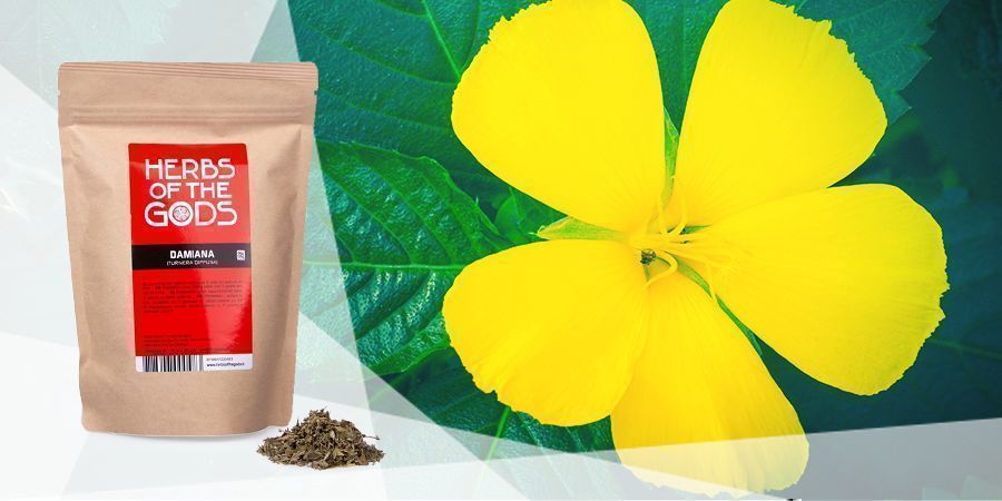 Damiana – höyrystettävät yrtit hyvään mielialaan