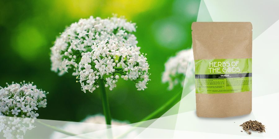 Valeriaana – höyrystettävät yrtit hyvään mielialaan