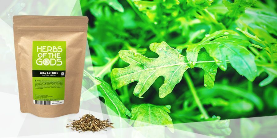 Villirucola - Höyrystettävät yrtit hyvään fiilikseen