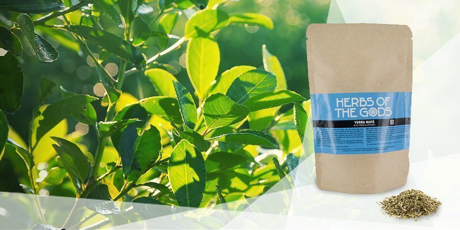 Yerba mate - Höyrystettävät yrtit hyvään fiilikseen