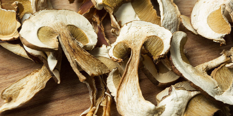 Psykedeelisten ja ei-psykedeelisten sienten mikroannostelu Psykedeelisten ja ei-psykedeelisten sienten mikroannostelu