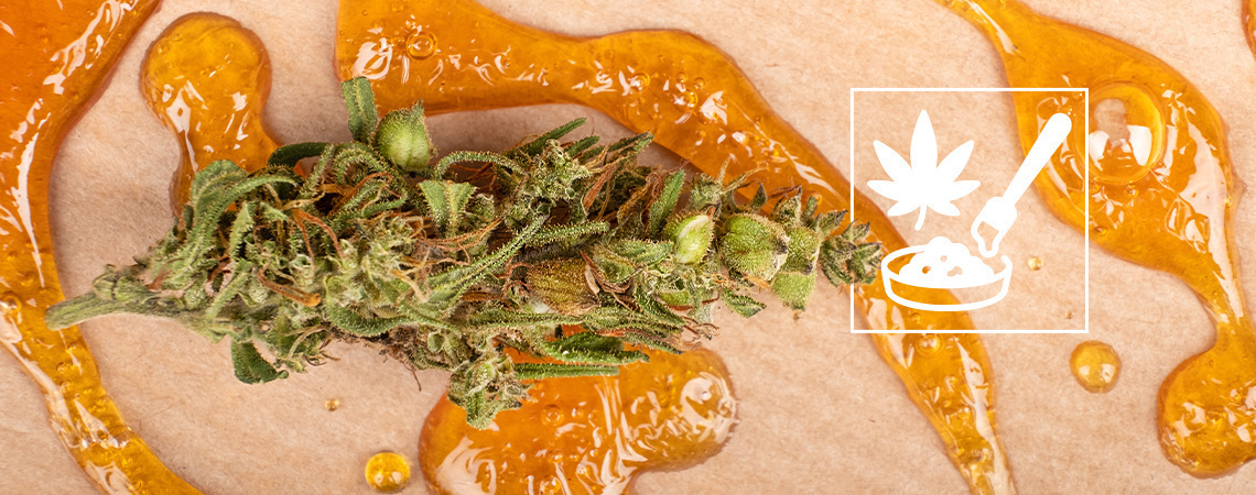 Kannabiskonsentraattien kattava opas Kannabiskonsentraattien kattava opas