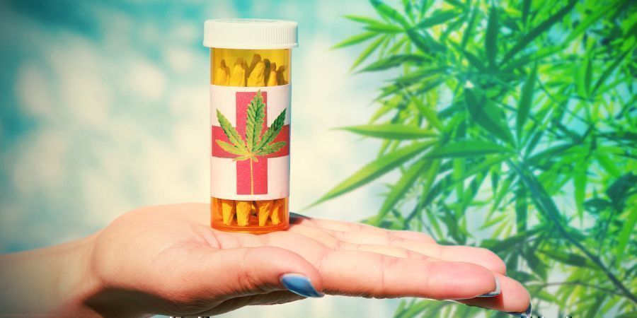 Kollektiivit Kannabiskollektiivit: voittoa tavoittelemattomat organisaatiot