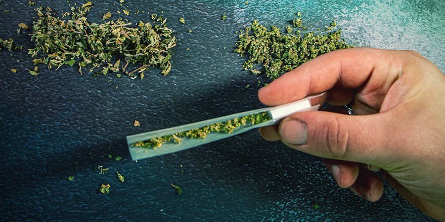 Kannabista yllin kyllin Kannabista yllin kyllin