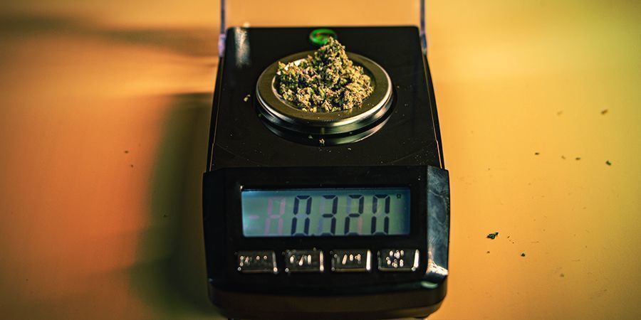 Marihuanan mittayksiköt MARIJUANA METRICS