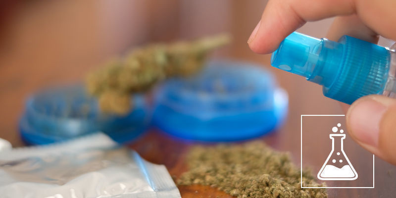 Mitä synteettinen kannabis on? Mitä synteettinen kannabis on?