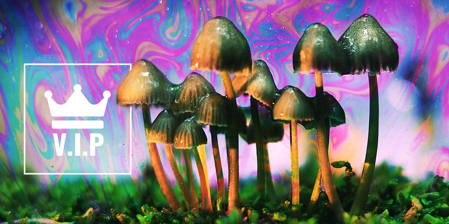 Psykedeelien VIP-hahmot Psykedeelien VIP-hahmot
