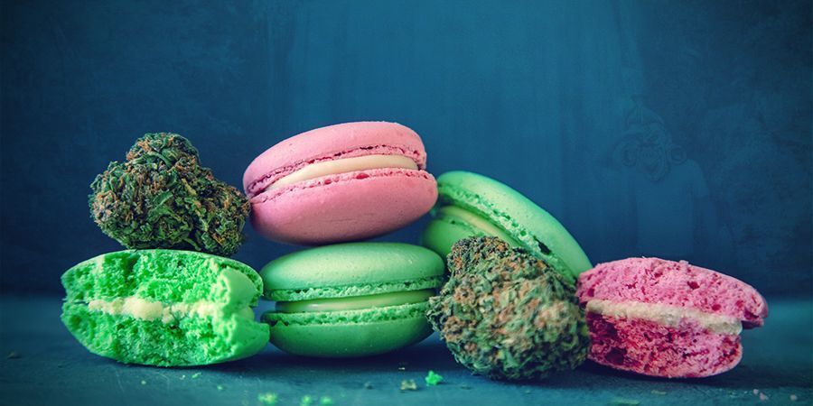 KANNABIKSEN SY&Ouml;T&Auml;V&Auml;T