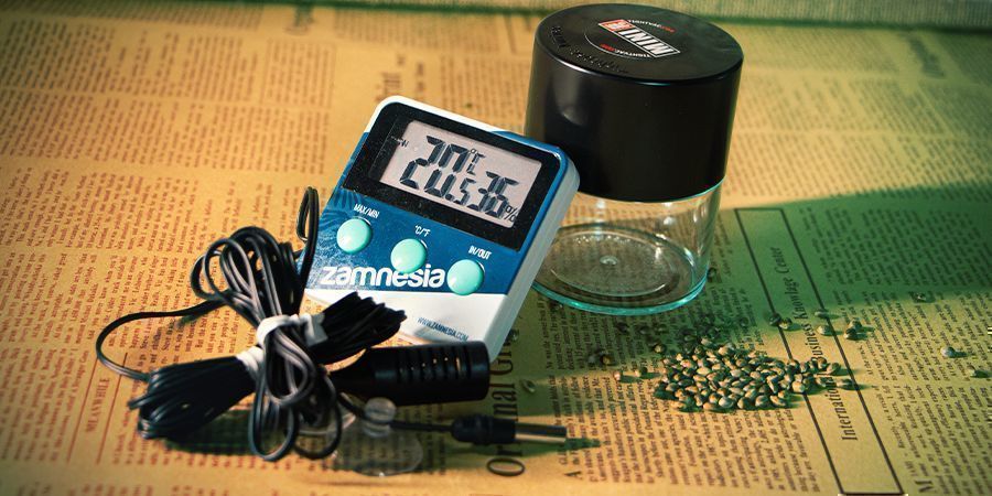 Tekijät, jotka kannattaa huomioida kannabiksen siementen säilytyksessä