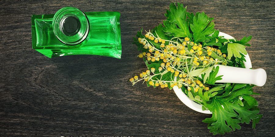 Kuinka absintti valmistetaan KUINKA ABSINTTI VALMISTETAAN