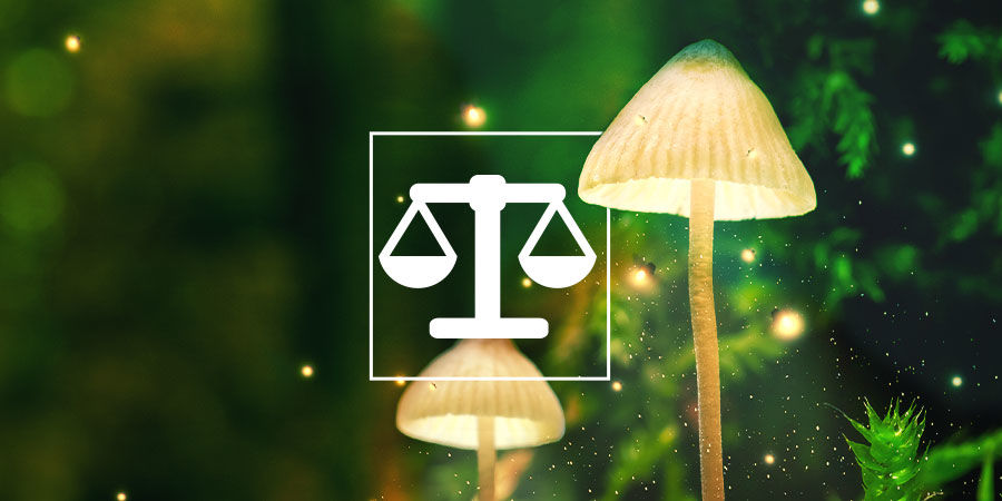 Kuinka punnita ja annostella psykedeelit turvallisesti Kuinka punnita ja annostella psykedeelit turvallisesti