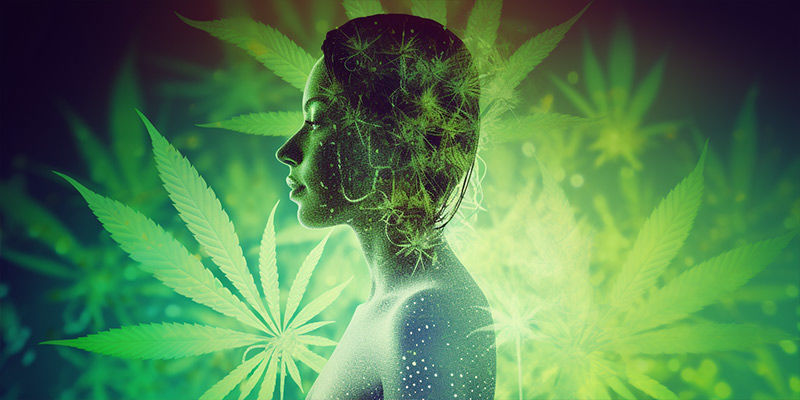 Kuinka kauan CBD pysyy elimistössäsi? Kuinka kauan CBD pysyy elimistössäsi?