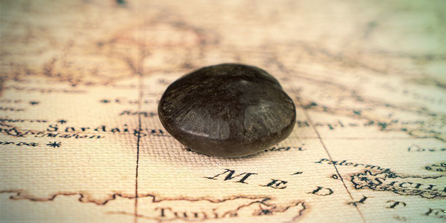 African Dream Seeds: perinteiset käyttötavat ja historia African Dream Seeds: perinteiset käyttötavat ja historia