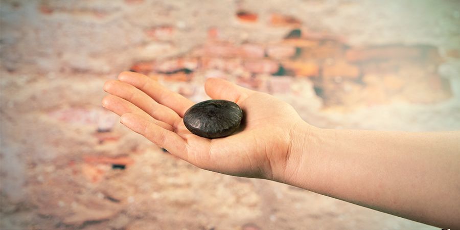 Mitä ovat African dream -siemenet? WHAT ARE AFRICAN DREAM SEEDS?