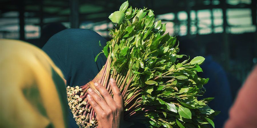 Etyloni (khat)