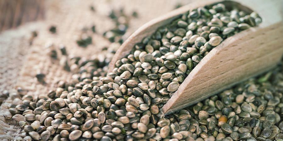 Ulkonäkö Hemp Seeds Appearance