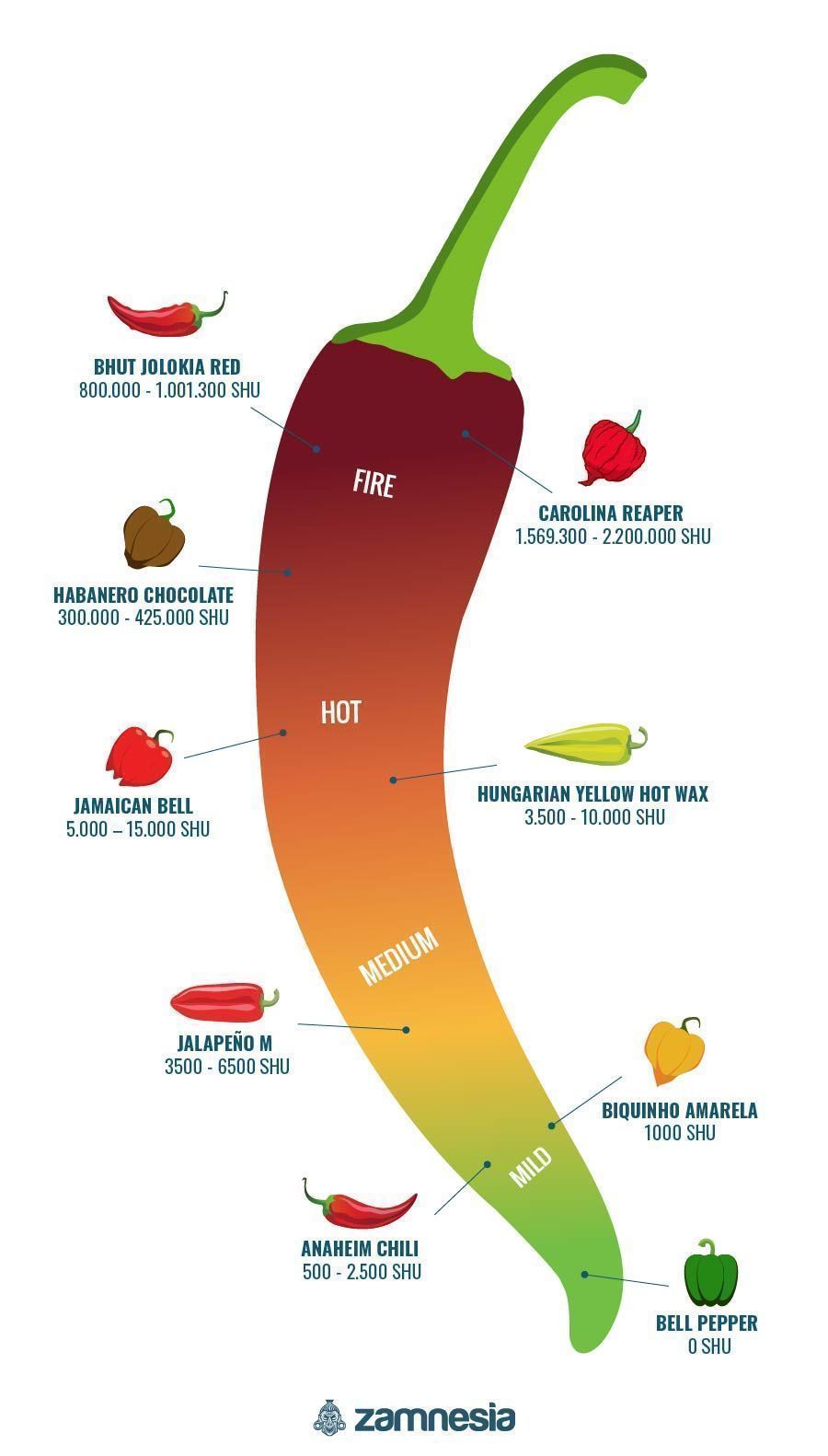Tulisten chilien infografiikka