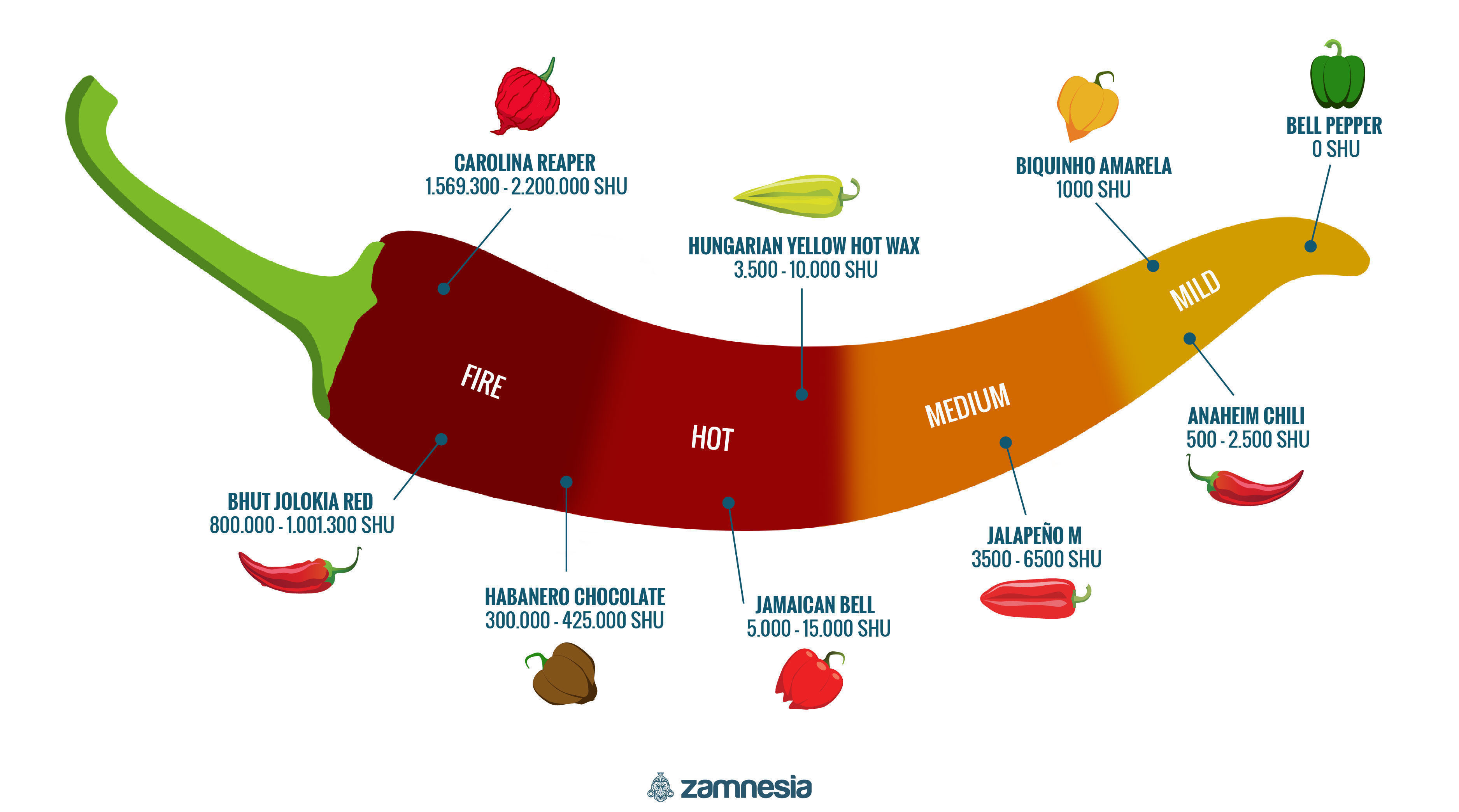 Tulisten chilien infografiikka