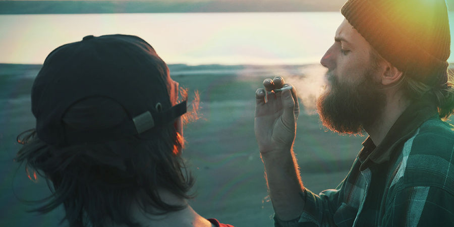 Kannabiksen vaikutukset Cannabis Seedfinder: Kannabiksen vaikutukset