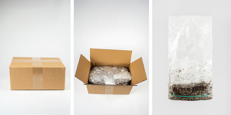 Mitä Zamnesia Ready-2-Grow Bag sisältää? Mitä Zamnesia Ready-2-Grow Bag sisältää?