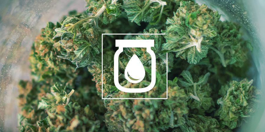 Kannabiksen vesikypsytys: mit&auml; se on ja miten se tehd&auml;&auml;n