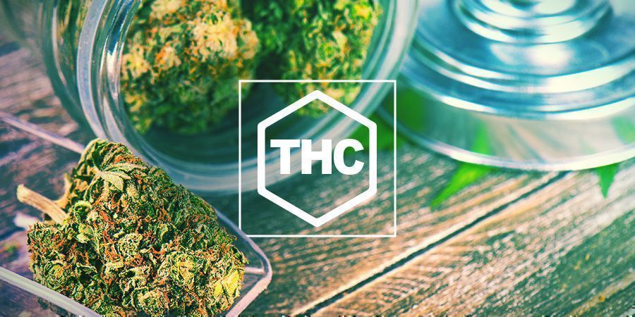 THC kannabiksessa THC In Cannabis
