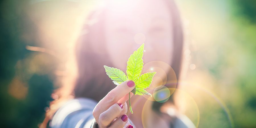 Kannabiksen harrastajat Kannabiksen harrastajat
