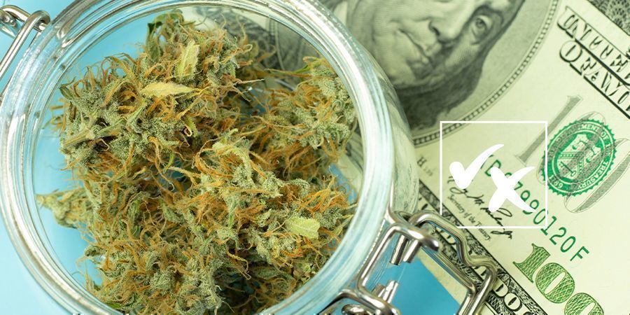 Autoflower-siemenien plussat ja miinukset