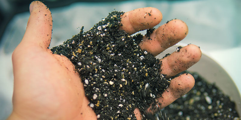 Maan ilmastus Kannabiksen ravinteiden saatavuus: maan ilmastus