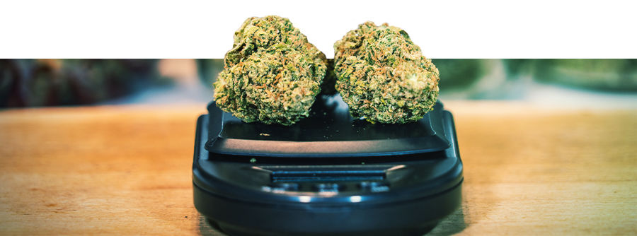 Kannabisvaa'at