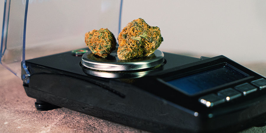 T&auml;rkeimm&auml;t kannabisvaa'an ominaisuudet