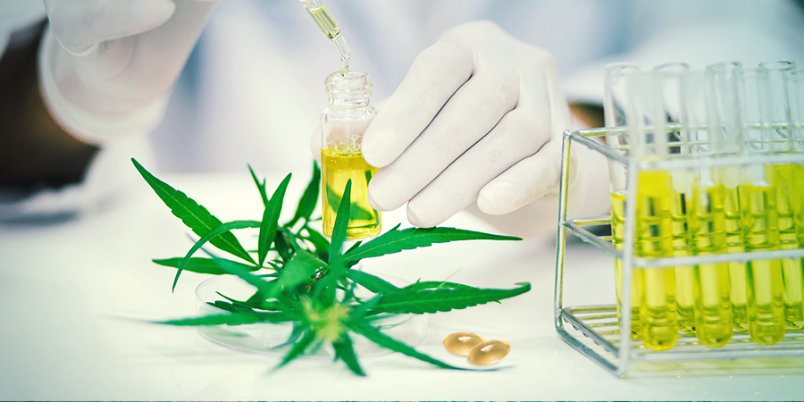 CBD-kapselien teho CBD-kapselien teho