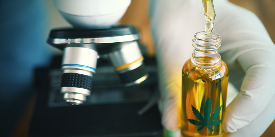 Mitä tapahtuu, jos käytät CBD:tä joka päivä? Mitä tapahtuu, jos käytät CBD:tä joka päivä?