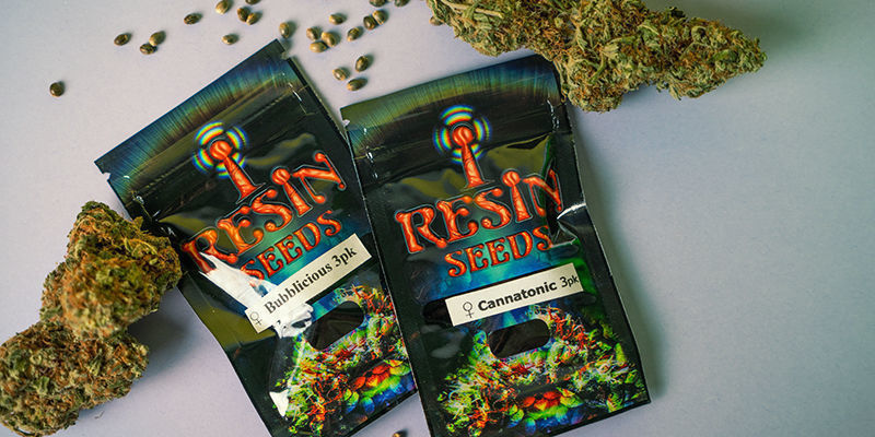Miten Resin Seedsin kannabiksen siemenet pakataan? Resin Seeds -pakkaus