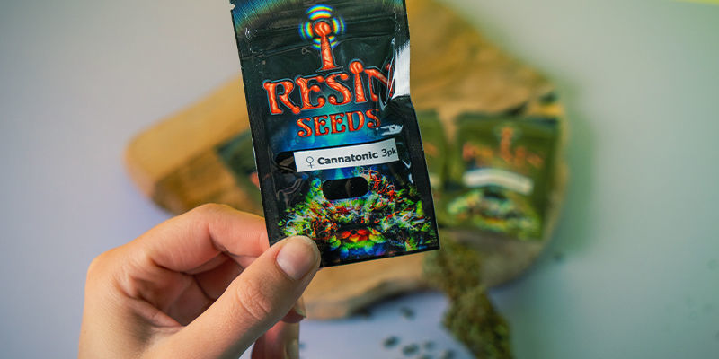 Resin Seeds: CBD-liikkeen perustajat Resin Seeds: Founders CBD Movement