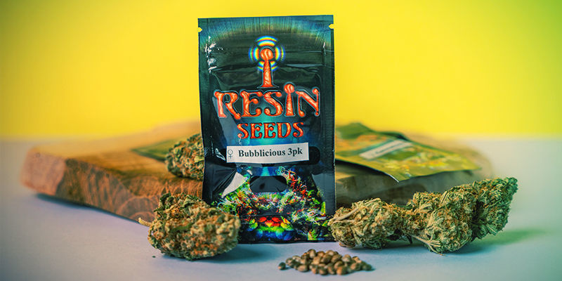 Mikä tekee Resin Seedsistä erityisen? Mikä tekee Resin Seedsistä erityisen?