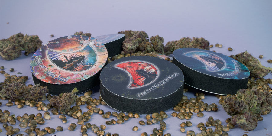 Miten GeneSeedsin kannabiksen siemenet pakataan? GeneSeeds Cannabis Seeds Package
