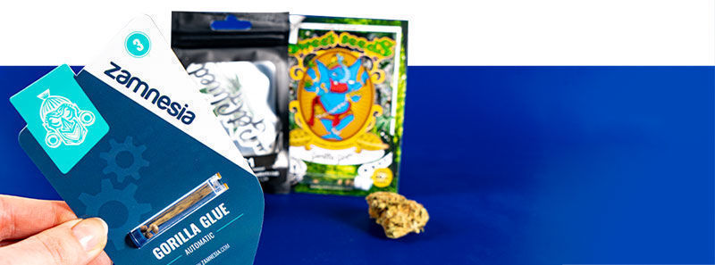 Gorilla Glue -lajikkeet Gorilla Glue -lajikkeet