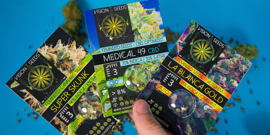 Miten Vision Seedsin Kannabiksen siemenet pakataan? Miten Vision Seedsin Kannabiksen siemenet pakataan?