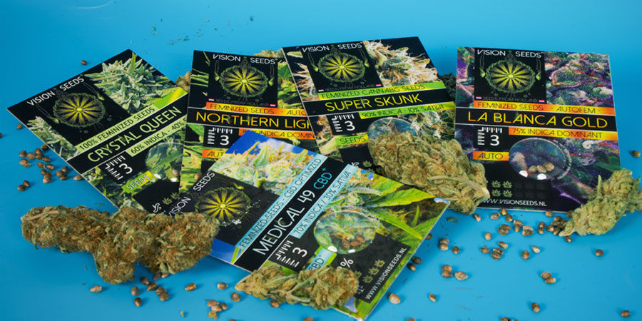 Vision Seedsin tarina Vision Seedsin tarina