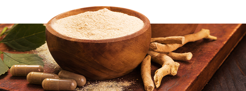 Osta Ayurveda-tuotteita verkosta Zamnesialta Osta Ayurveda-tuotteita verkosta Zamnesialta
