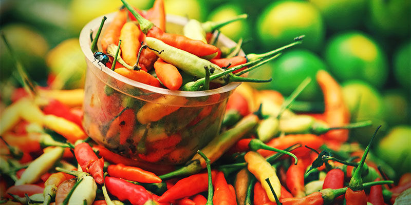 Miksi kasvattaa omat chilit? Miksi kasvattaa omat chilit?