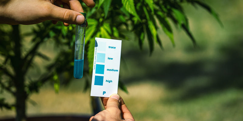 Ravinnepuutokset Nutrient deficiencies