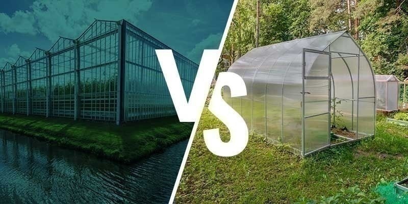 Kasvihuone- ja viherhuoneviljelyn erot Kasvihuone- ja viherhuoneviljelyn erot