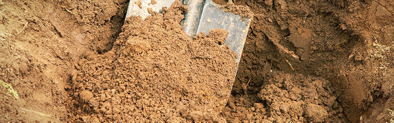 Savimaa Clay soil