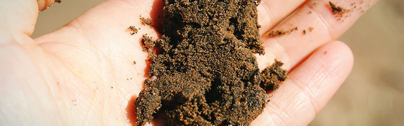 Hiekkamaa Sandy soil