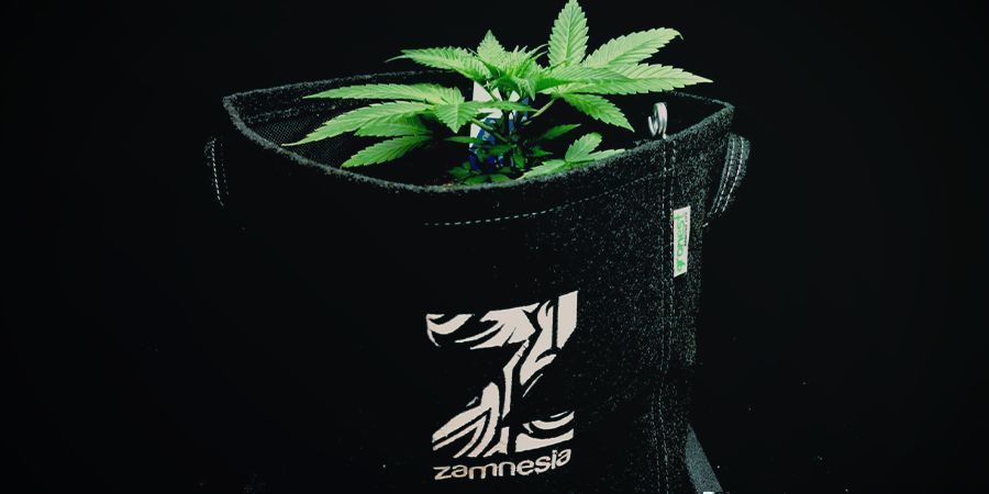 Kangasruukut eli Smart Pot -ruukut Kangasruukut eli Smart Pot -ruukut kannabikselle